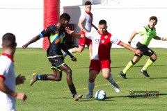 IMG_4490-1