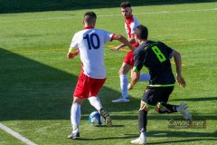 IMG_4611