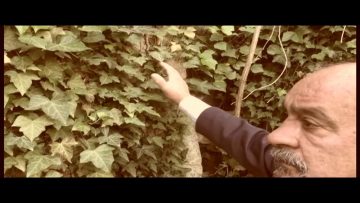 Ignazio Silone Uscita di Sicurezza